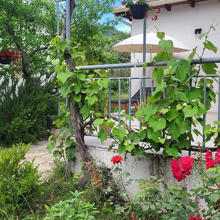 Ioannis Houses - Gemuetliches Ferienhaus Im Olivenhain Skala Potamia  Esterno foto