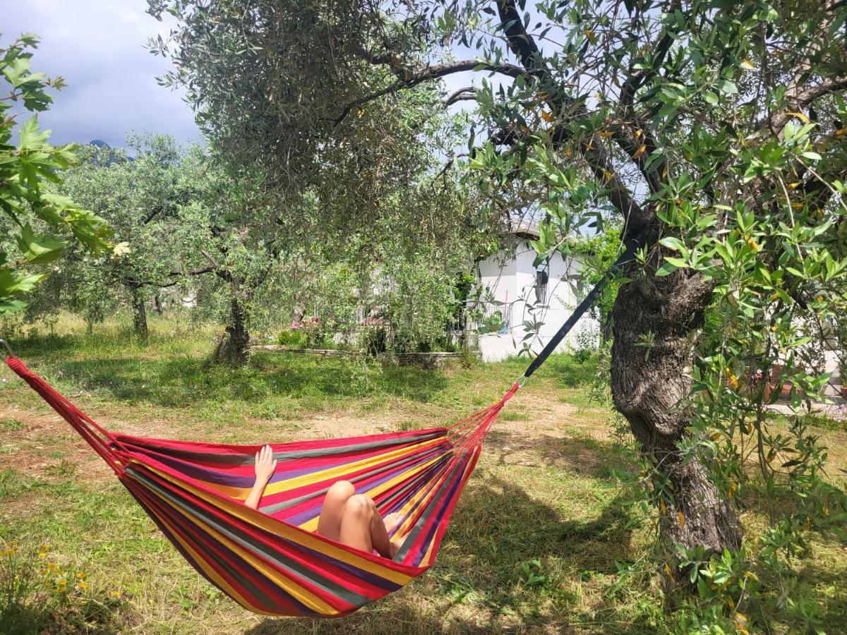 Ioannis Houses - Gemuetliches Ferienhaus Im Olivenhain Skala Potamia  Esterno foto