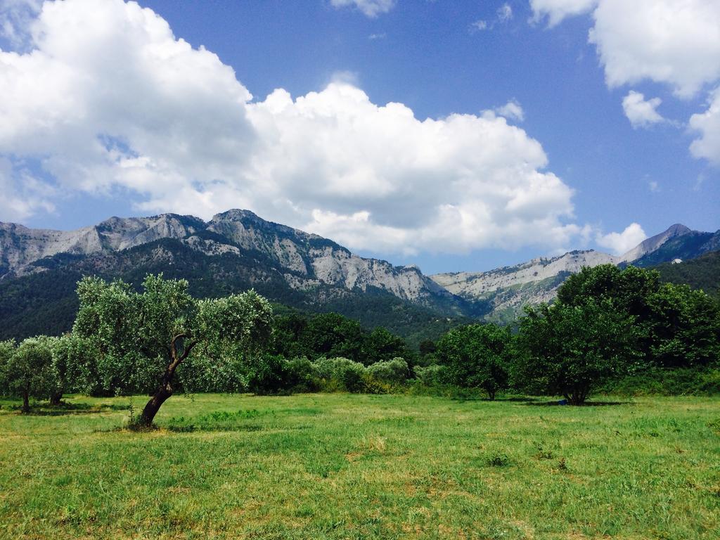 Ioannis Houses - Gemuetliches Ferienhaus Im Olivenhain Skala Potamia  Esterno foto